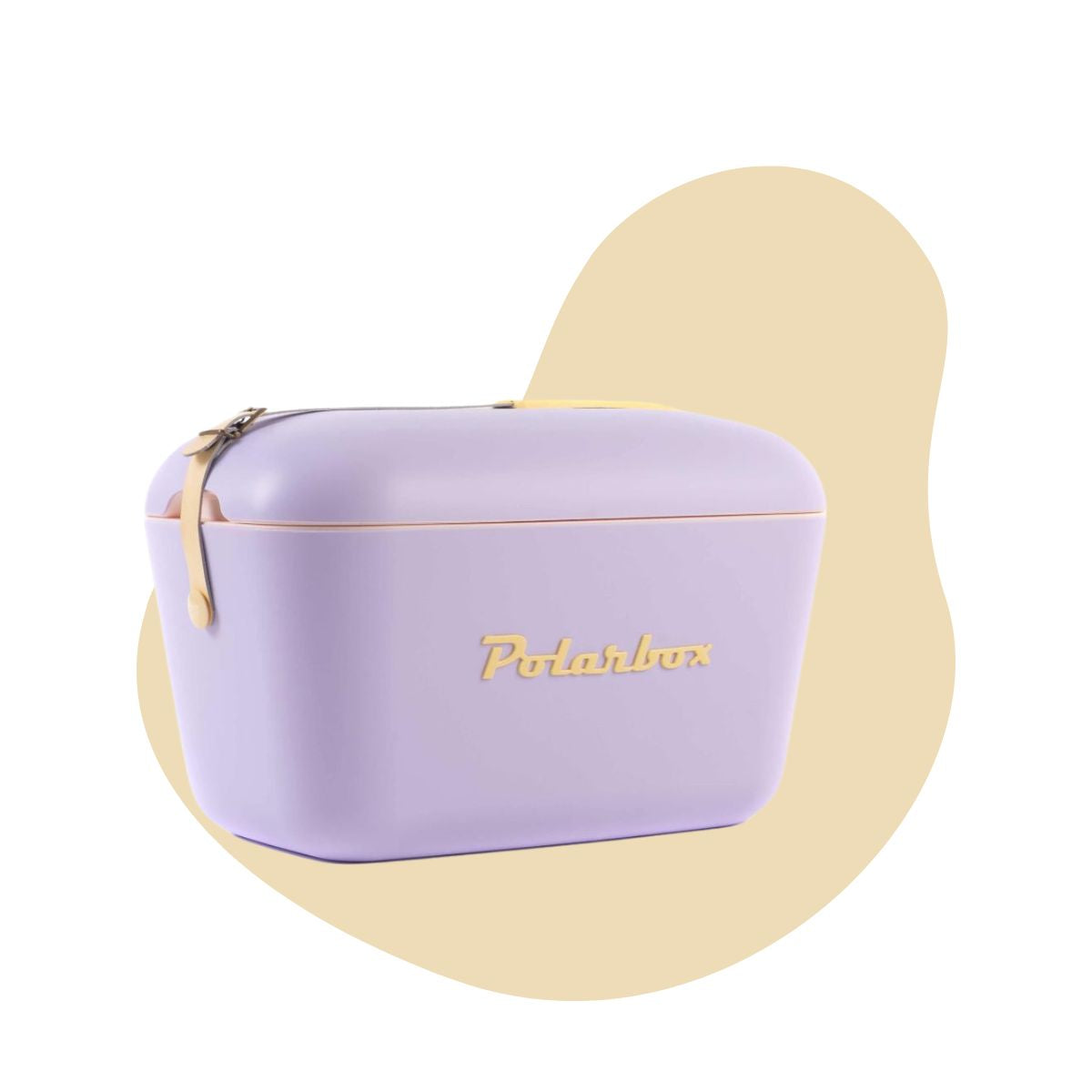 Polarbox violette